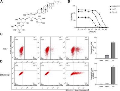 <mark class="highlighted">Dioscorea</mark> Zingiberensis New Saponin Inhibits the Growth of Hepatocellular Carcinoma by Suppressing the Expression of Long Non-coding RNA TCONS-00026762